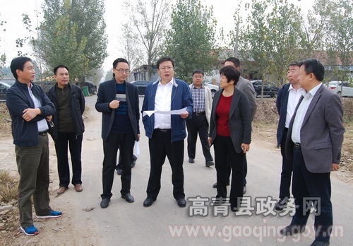 高青县县长杨新胜到黑里寨镇调研