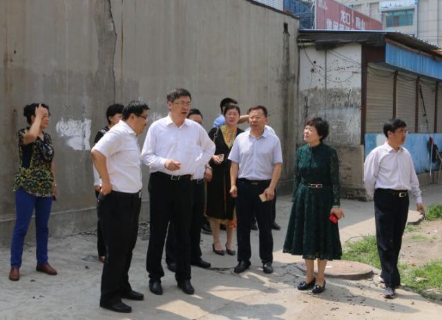 市政府副市长盖卫星,市卫计委主任宋晓东,市迎审办,张店区,高新区