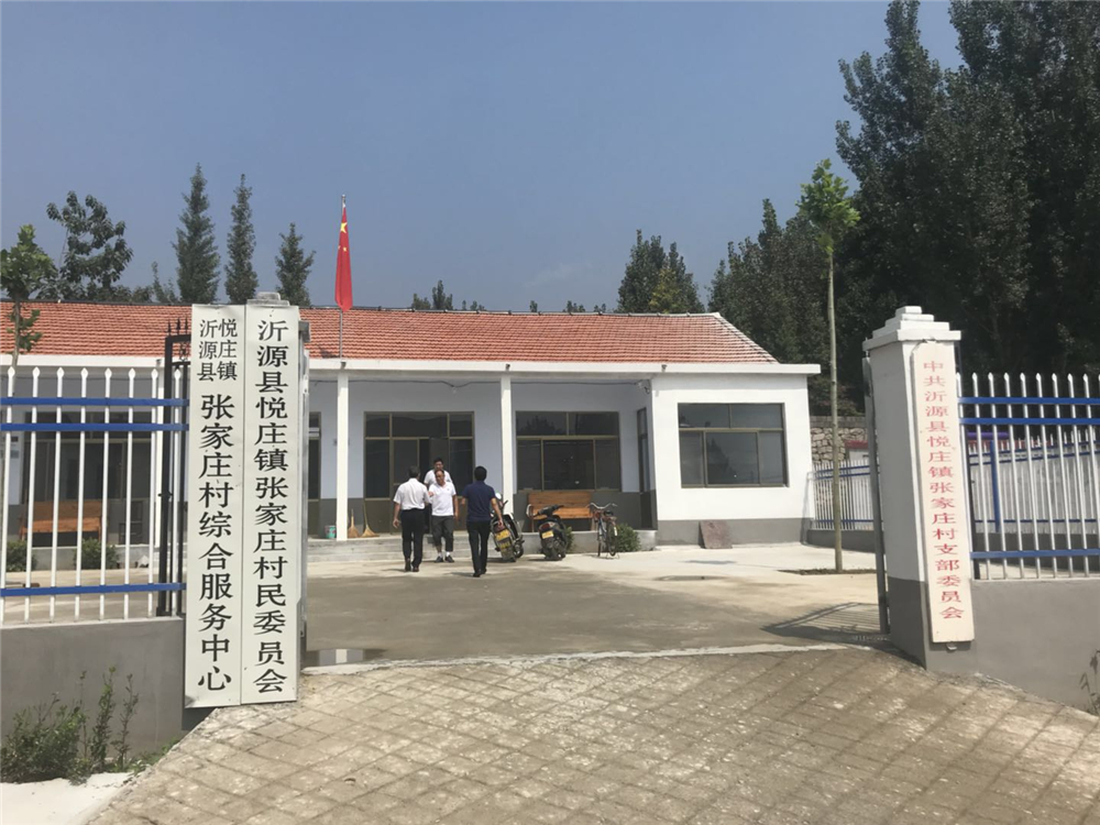 悦庄人口_人口普查图片(3)