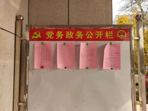 临淄区敬仲镇多形式大走访广宣传深化政务公开工作提升群众满意度