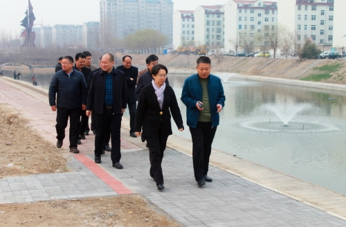 县委副书记,县长边江风实地查看河长制工作开展情况