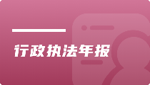 行政执法年报