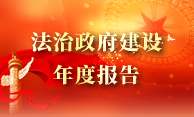 法治政府建设年度报告